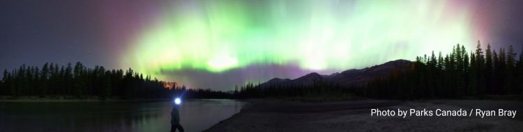 A person stands looking at the auroras in Jasper National Park